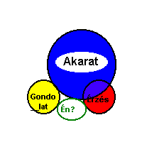 3. bra